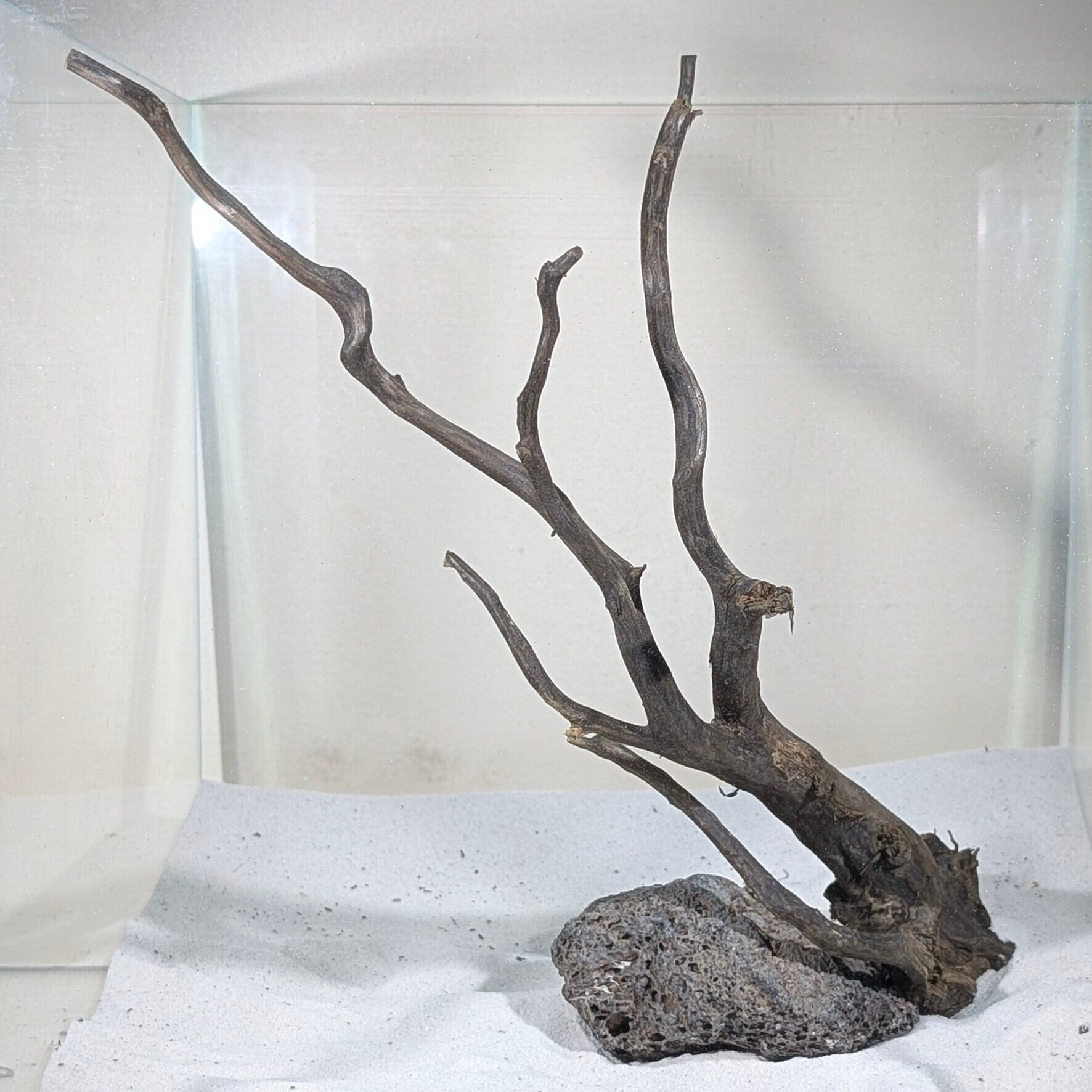 ペットの流木 水宗工房