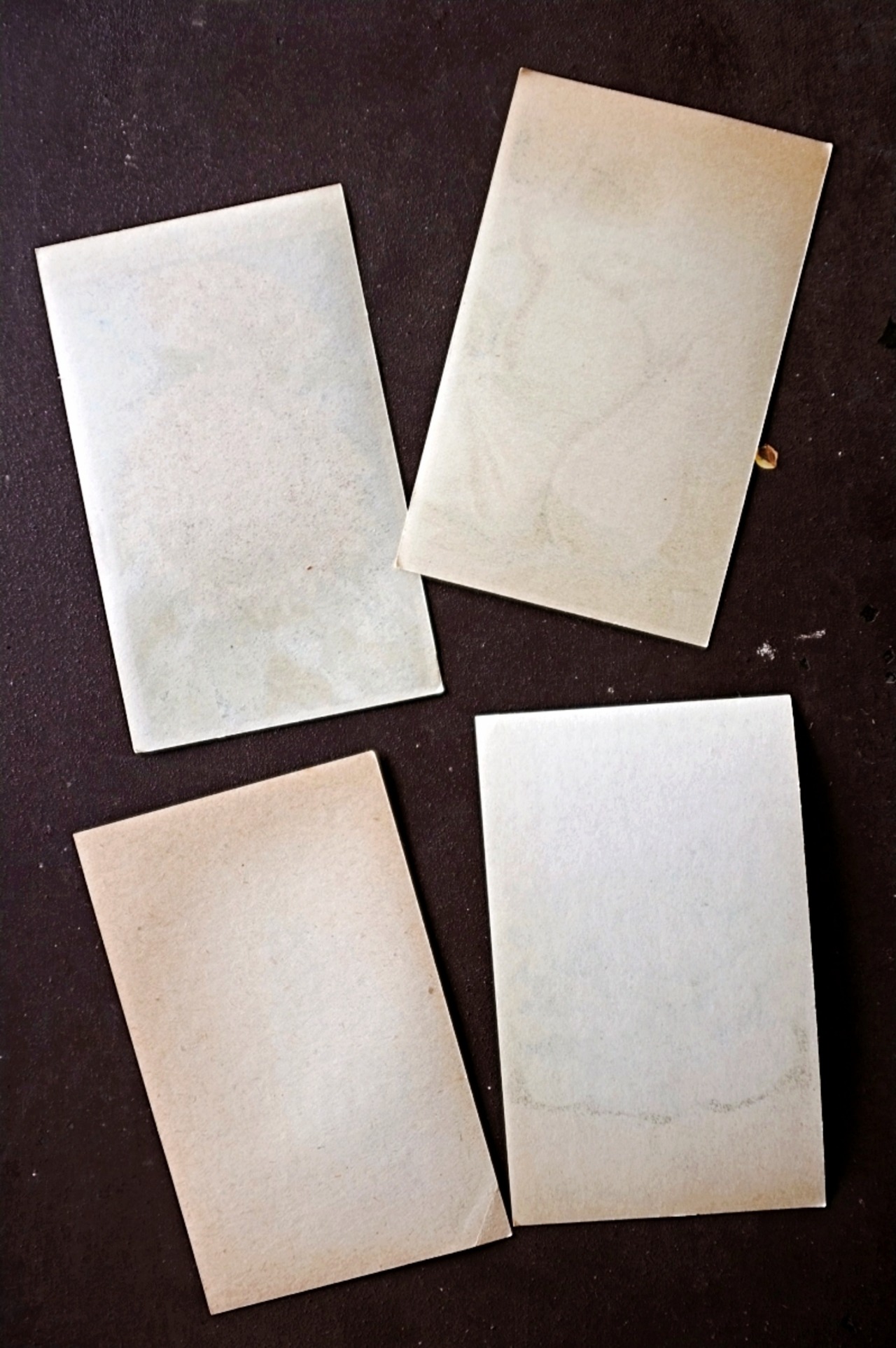 20s フランス 4set 膨満な花々と野菜たち 種子袋用ラベルj アンティーク