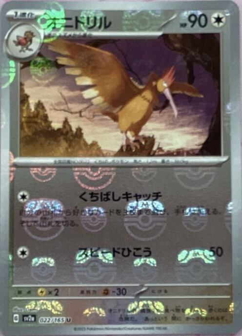 【Bランク】オニドリル(マスターボール(ミラー)