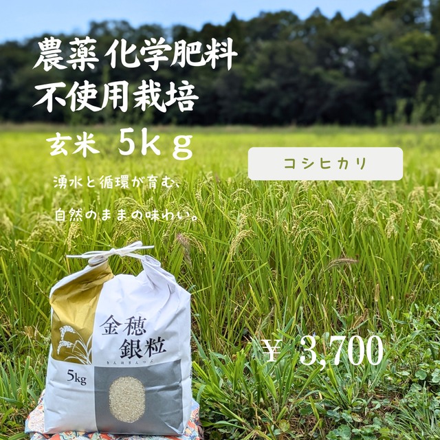 農薬・化学肥料不使用】玄米5kg(コシヒカリ) | みさき未来 農薬・化学肥料不使用】玄米5kg(コシヒカリ) | みさき未来