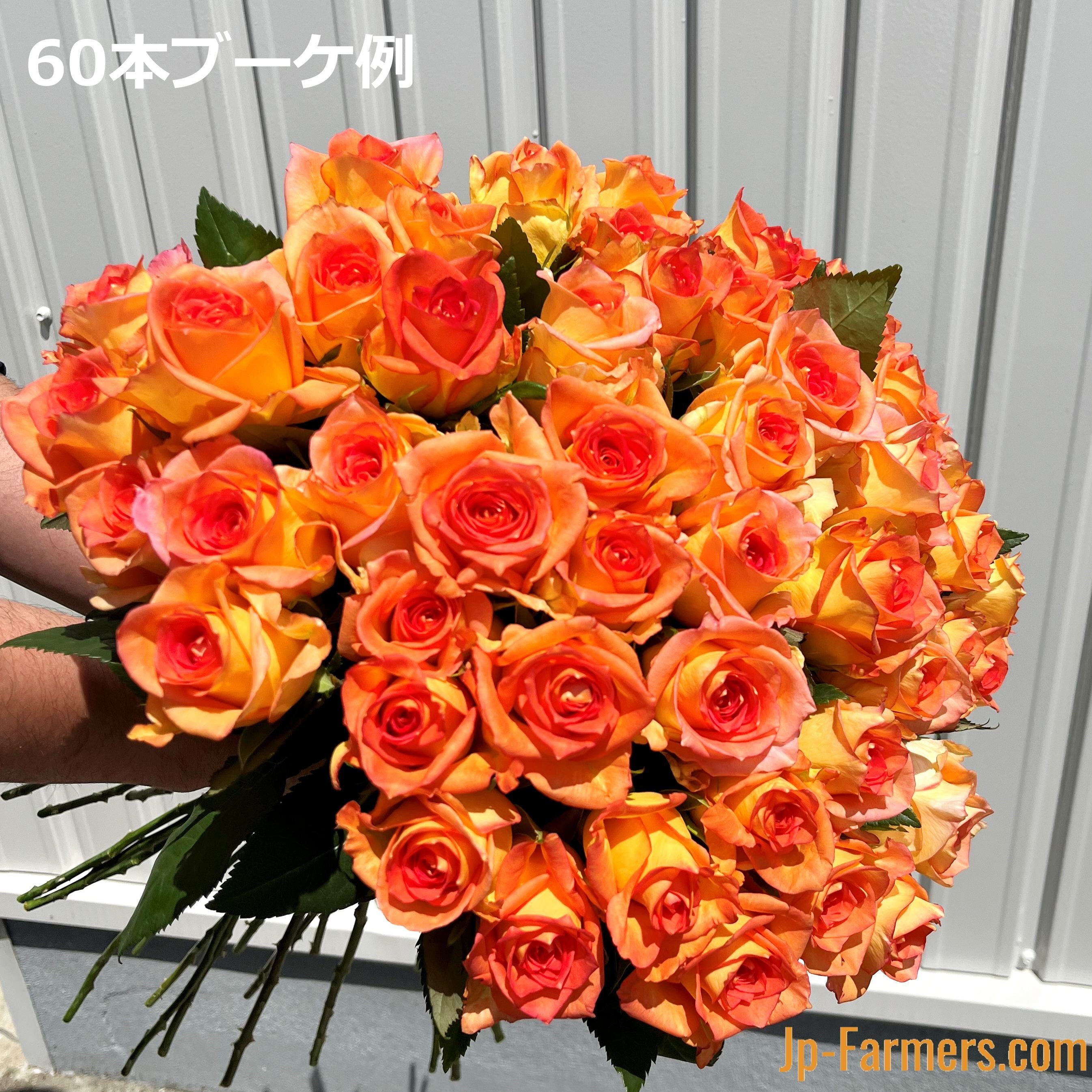 国産 オレンジバラ30本！ 品種はこちらにお任せ 60㎝以上 | 新鮮