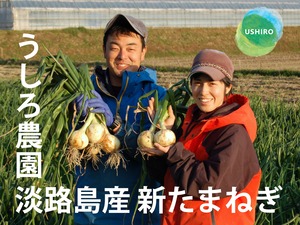淡路島　新玉ねぎ 10ｋｇ