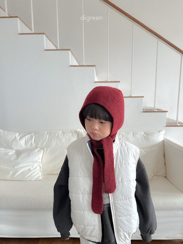 digreen25wn_Reversible Vest
