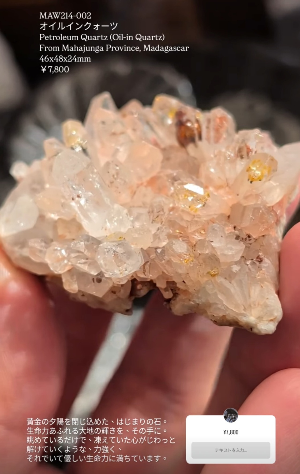 ⭔ お客様専用ページ ⭔ 1188hashimo様　