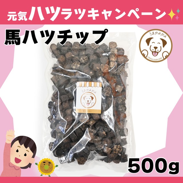 【月間お買い得】馬ハツチップ 小さめ2cmサイズ 500g