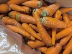 三河まんぷくファーム｢有期JAS認証にんじん2kg｣