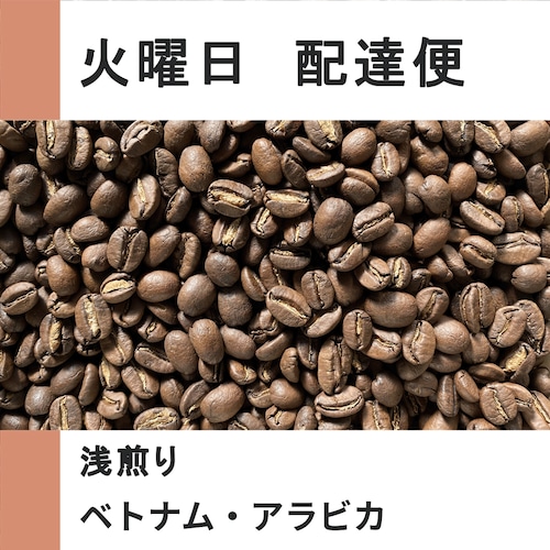 ベトナム・アラビカ【100g/火曜配達便】