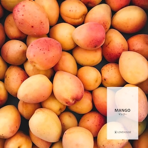 【50ml】マンゴー フレグランスオイル (Mango)