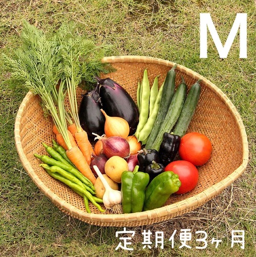 定期便＊月１回お届け３ヶ月コース【M】季節のお野菜おまかせボックスMサイズ