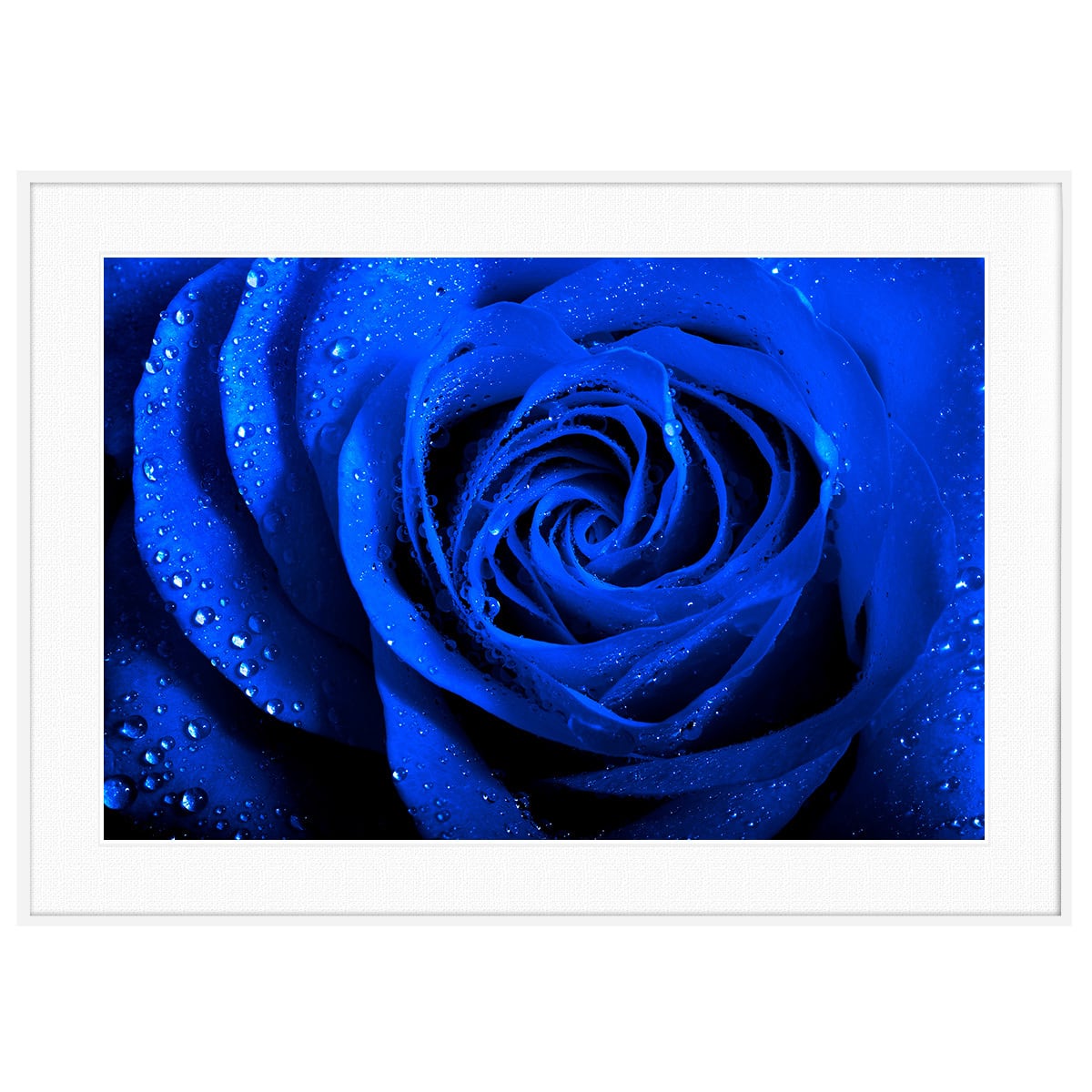 7255f4ba4e82e3ff1ee2cde472e26c