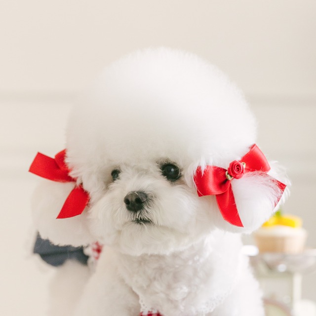 即納販売　Raspberry Rose Ribbon Pin (red) 2個セットヘアピン単品　ラズベリーローズ リボンピン (韓国犬服　kiki&nini