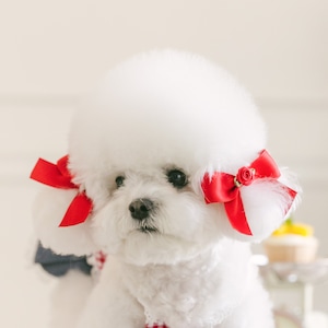 即納販売 Raspberry Rose Ribbon Pin (red) 2個セットヘアピン単品 ラズベリーローズ リボンピン (韓国犬服 kiki&nini