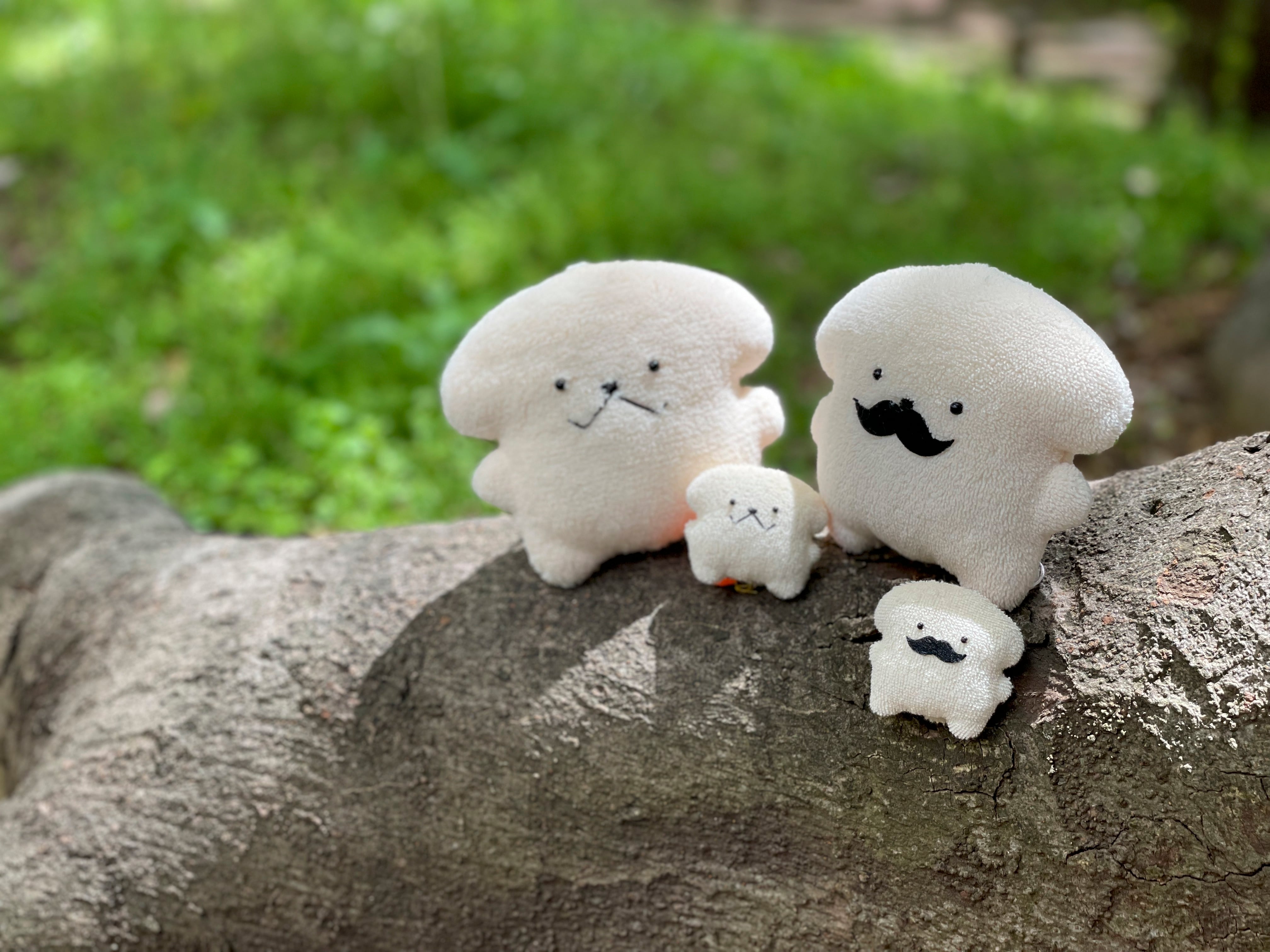 もふいぬ | もふいぬ