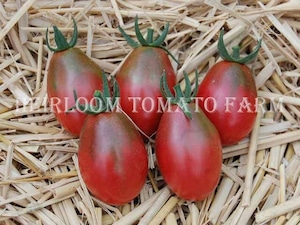 Heirloom Tomato® Evan's Purple Pear=Purple Pear エアルーム・トマト・エヴァンス・パープル・ピア