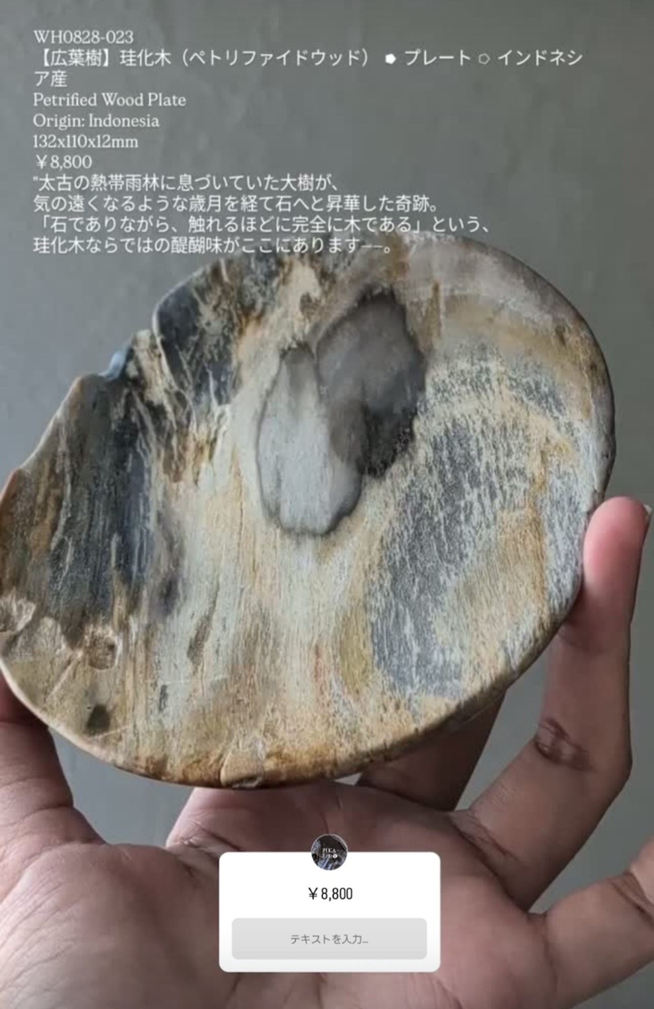 ⭔ お客様専用ページ ✦ sky.travel.sky