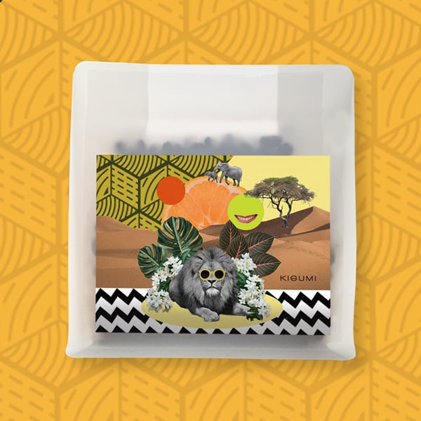 《販売終了》コーヒー豆150g / エチオピア ゲルシ / ウォッシュト【浅煎り】