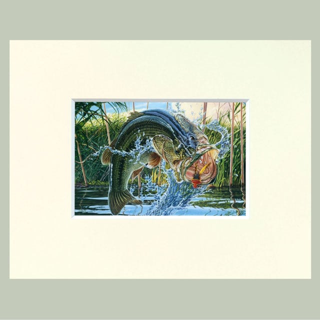 キャンバスアート CT−03 レインボートラウト | WATER EXPLOSION