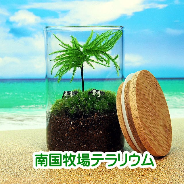 テラリウムビーチ 流木ガラス オブジェB25a 三毛釣り猫 花瓶 金魚鉢