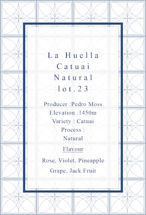 [今月のデイリー] La Huella Catuai Natural lot23