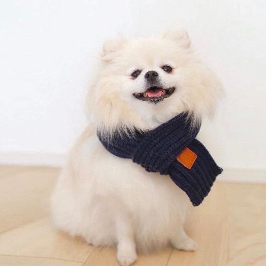 ニットマフラー / 6colors / 中型犬さんにオススメ | You&Me dogwear