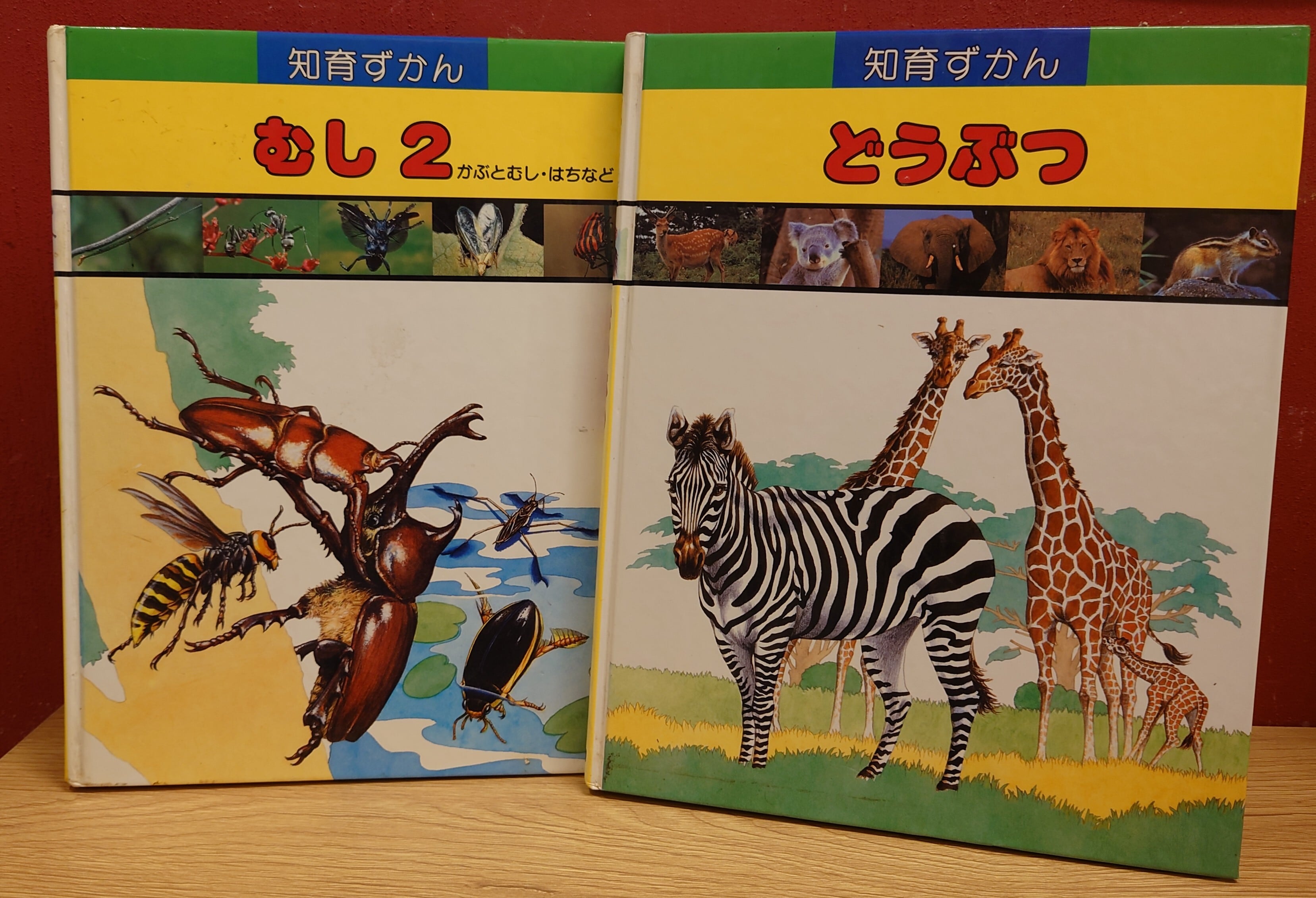 学研 知育ずかん 全15冊 昭和 平成レトロ 学研 知育ずかん 全15冊 昭和 平成レトロ 知育ずかん＜学研＞2、3、