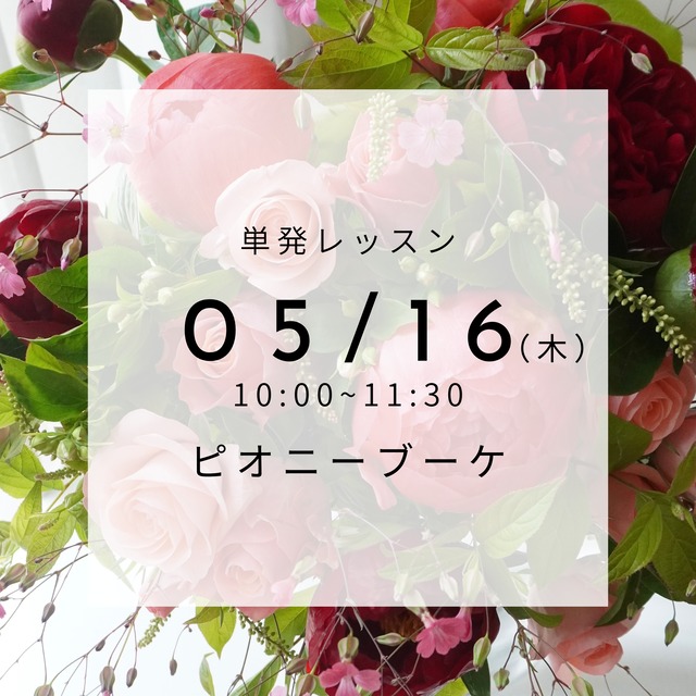 ※説明文を必ずご確認下さい※【5/16(木)】単発店内レッスン