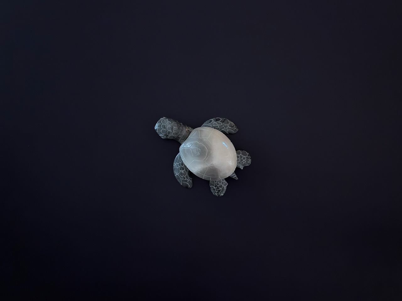 C013 | スレートブラック A3