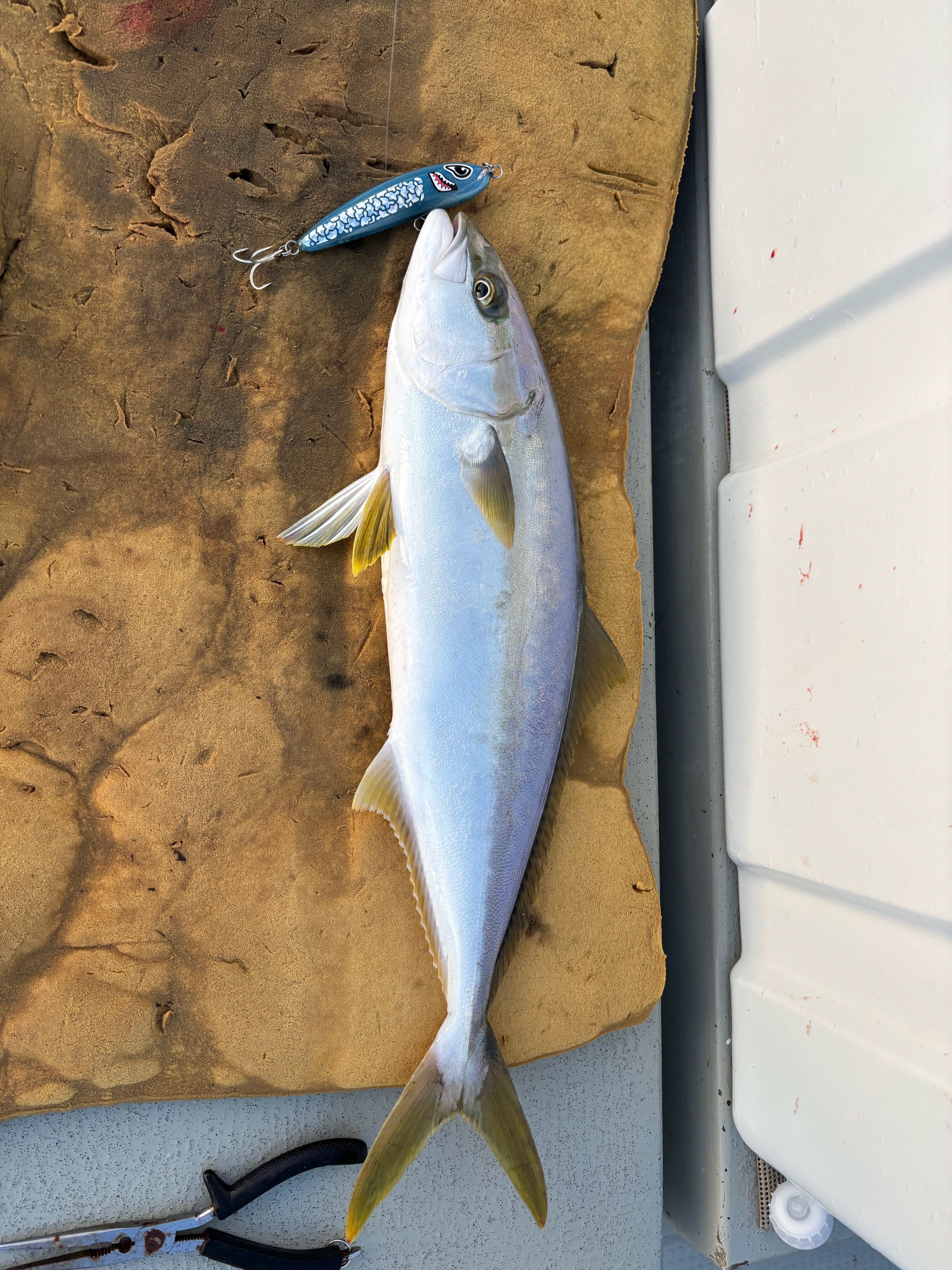 Uncharted 135 v.1.001