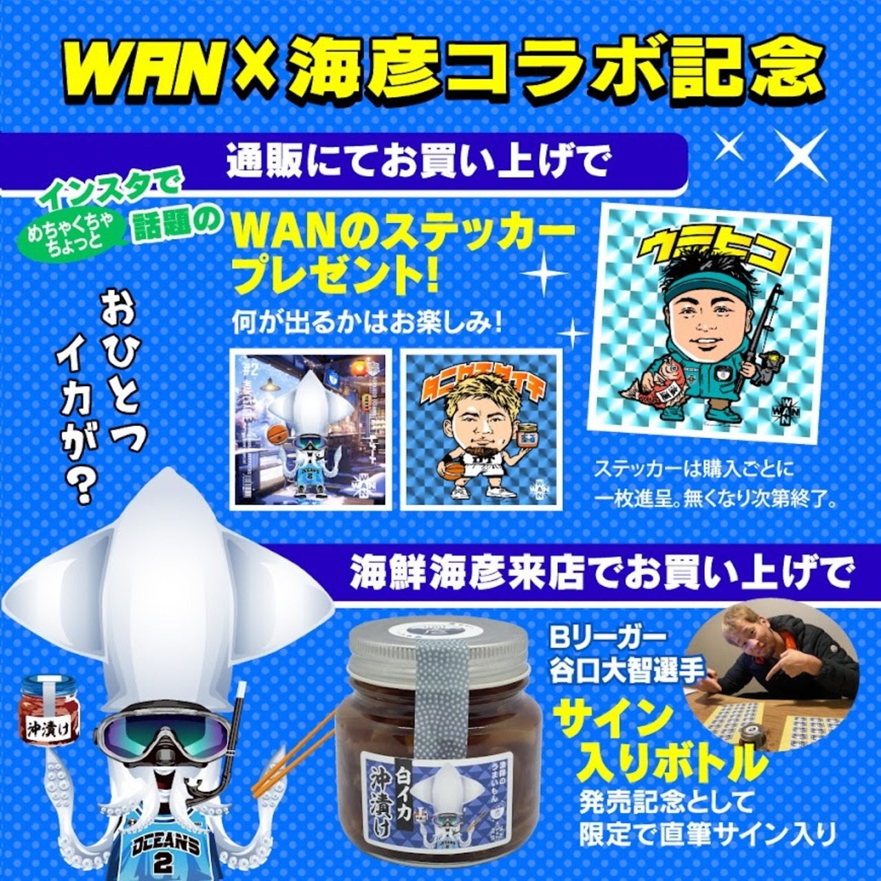 [WANコラボ]白イカ(ケンサキイカ)の沖漬け150g！谷口大智選手×島根の漁師の逸品コラボ