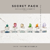 ミニチュア標本 SECRET PACK