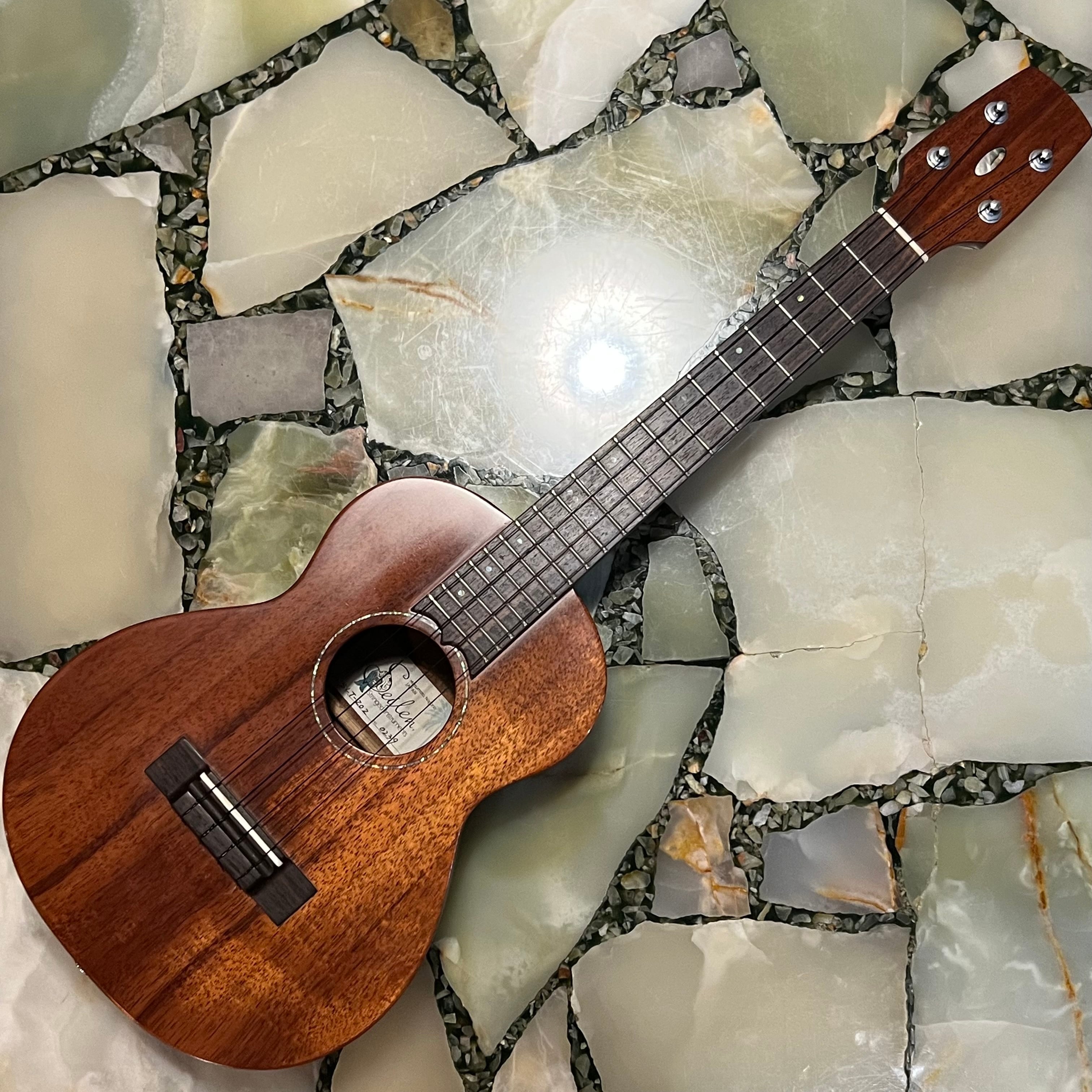 ウクレレ本体 | UKULELE DARUMA