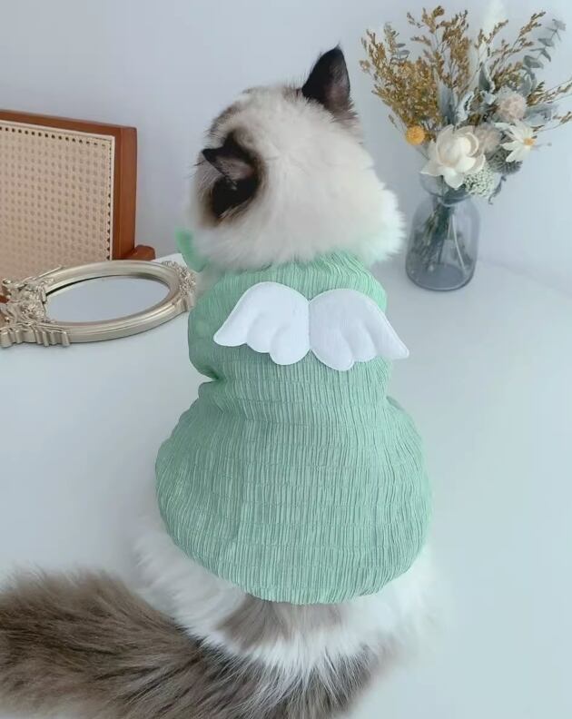 キャット 猫 ドッグ 犬 小型犬 室内着 ドレス ワンピース ベーシック エンジェル シャーリング かわいい きれいめ シンプル 上品 おしゃれ 個性的 エレガント モダン 存在感 ラブリー キュート プリンセス フェアリー シンプル フレンチ シック 無地 春 夏 秋 ロングシーズン サマーシーズン 春服 夏服 秋服 男の子 女の子 成犬 成猫 お出かけ 公園 休日 記念日 庭 ガーデン 室内 おうち 清楚 トレンド 流行 インスタ映え XS S M L XL 2XL