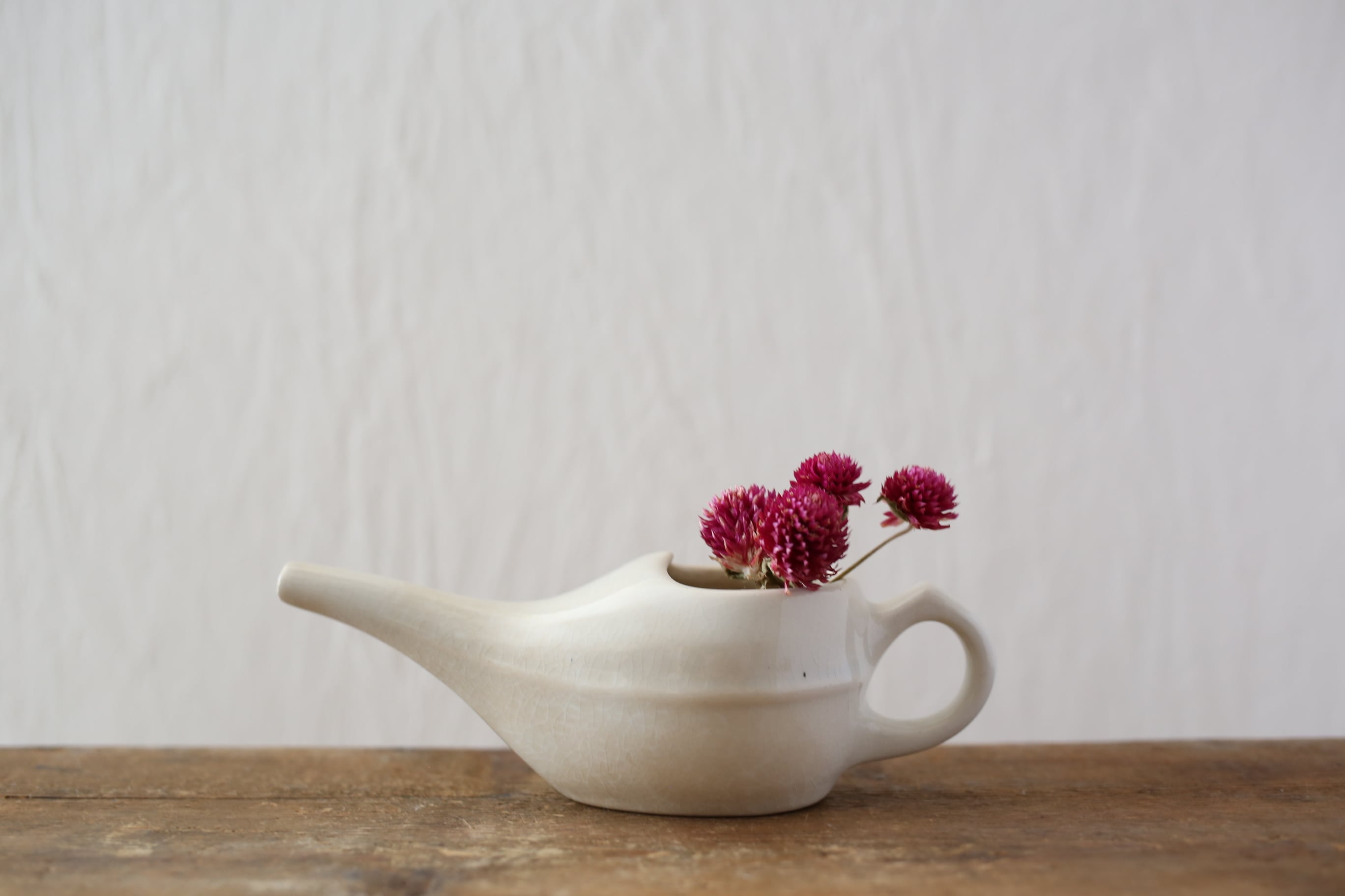 フランス アンティーク ヴィンテージ GIEN ジアン 吸い飲み N-03620