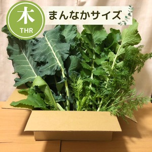 【11月より再開予定】＜木曜日に収穫・発送＞【まんなかサイズ】季節のお野菜セット