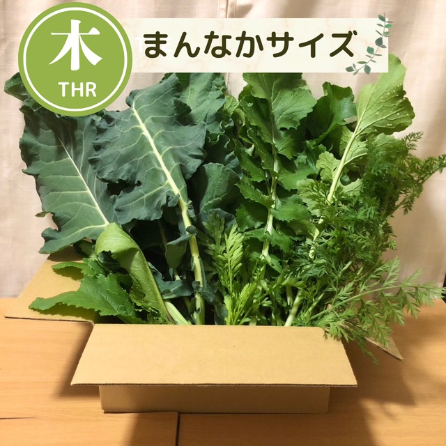 【11月より再開予定】＜木曜日に収穫・発送＞【まんなかサイズ】季節のお野菜セット