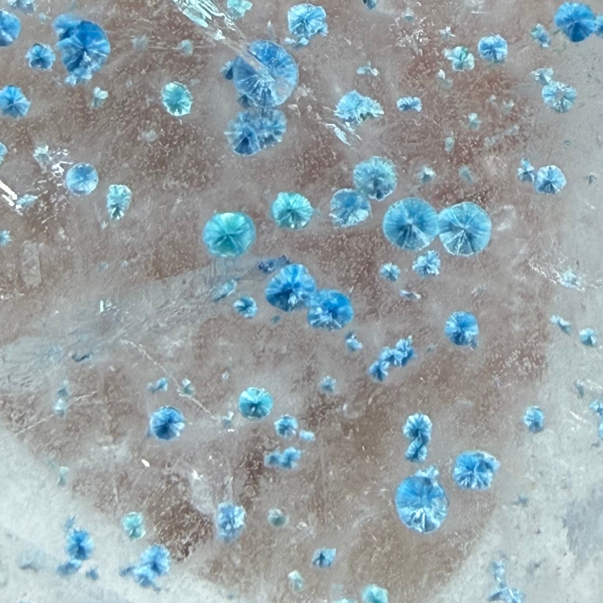 結局がびっしり入ったギラライトインクオーツ