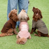 38DOG LOGO EMBROIDERY TEE / KAHKI