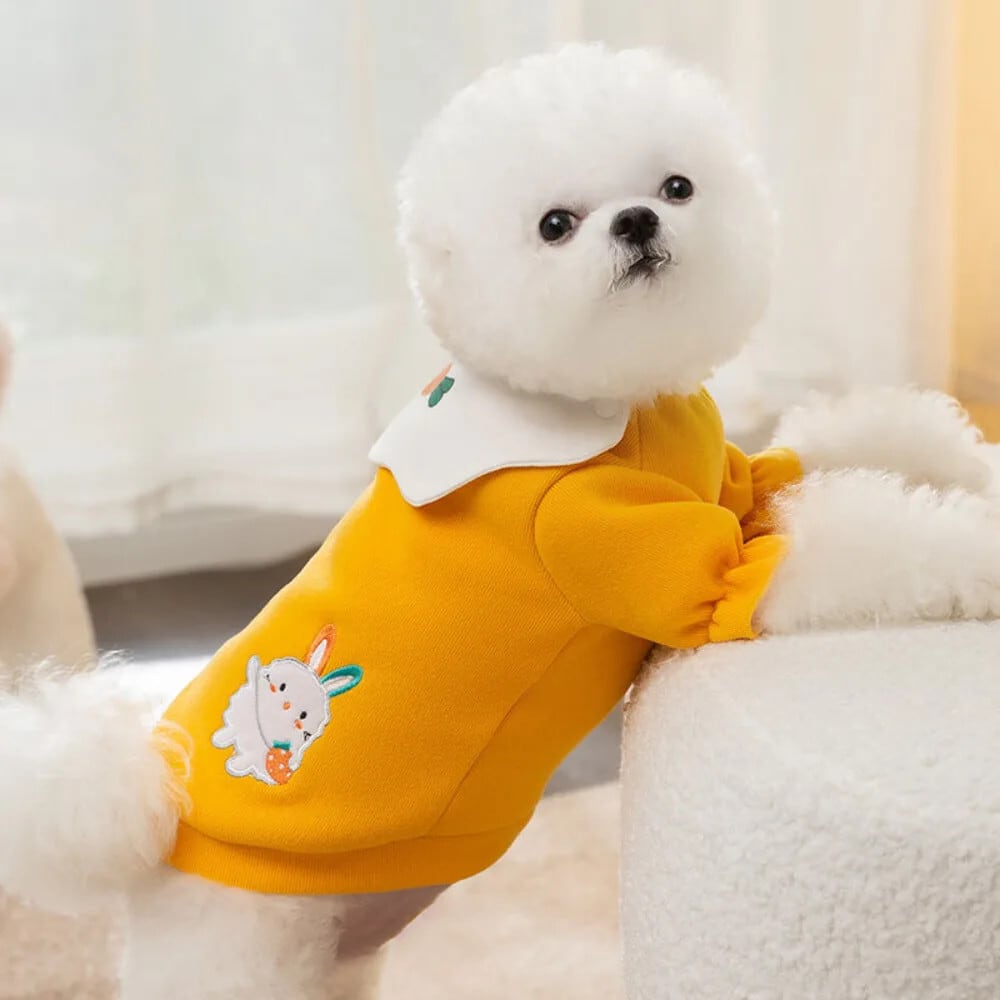 ペットセーター冬秋かわいい漫画カーディガン小型犬猫ニット