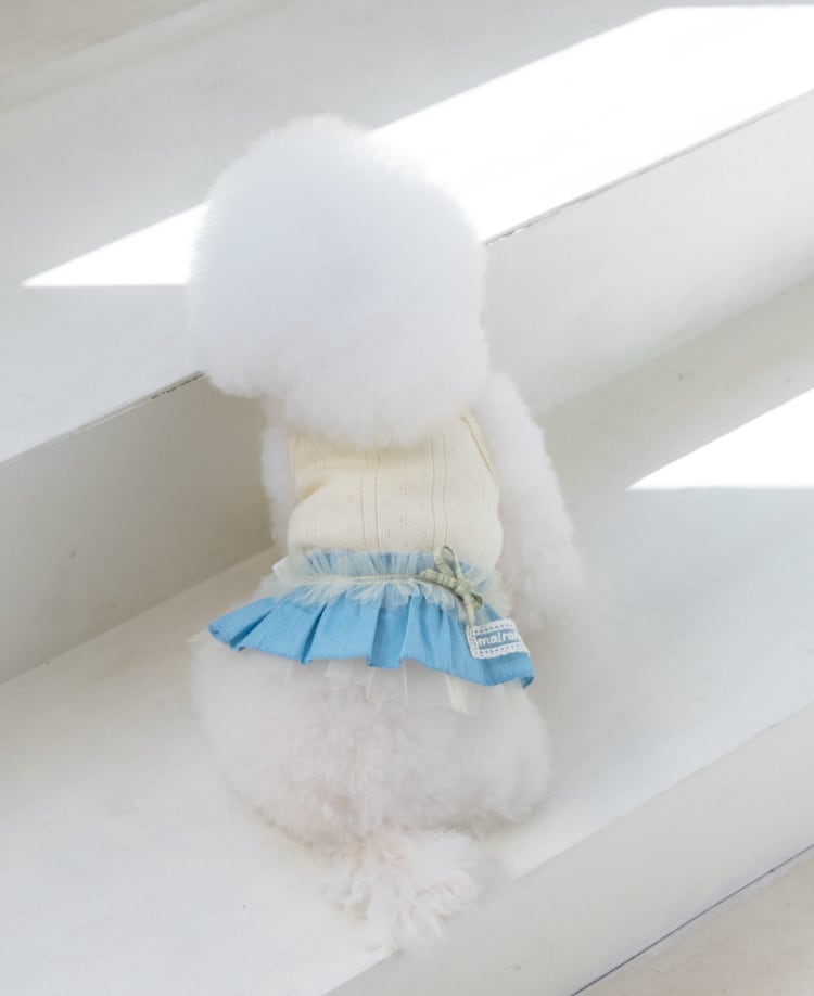 予約【malrang】Powder Denim Tutu Dress (yellow)