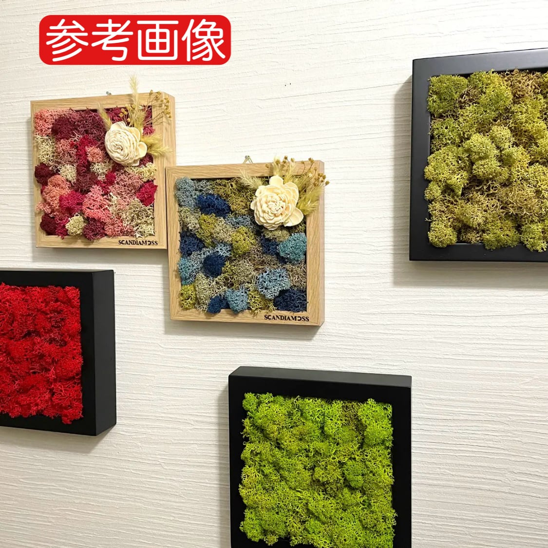 壁掛けモスアレンジ ピンク系 ドライフラワー スカンディアモス