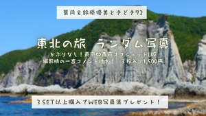 【東北への旅】かぶりなしオフショット写真Ｌ版3枚入り