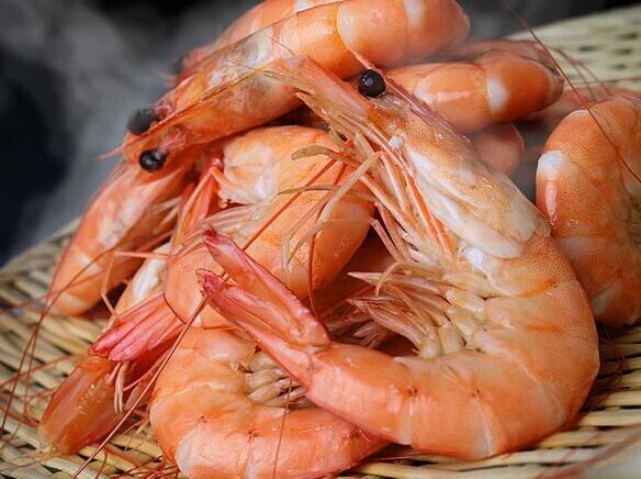 世界最高グレード 天使の海老 エフ エフ フィッシャーズ