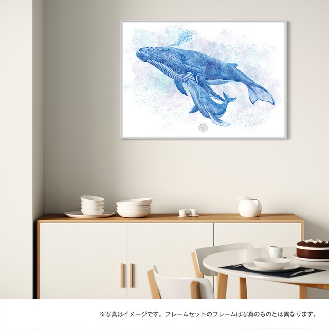 【海のいきものアートポスター／海洋哺乳類】ザトウクジラ