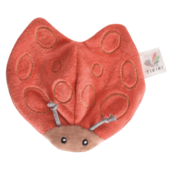 Lady Bug with Crinckle_93204
