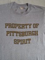 1980’s USA SCREEN STARS Pittsburgh College T-Shirt