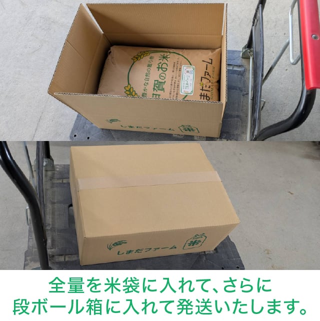 年間予約・定期便〉農家直売・特別栽培米 きぬむすめ 玄米30kg 2ヶ月