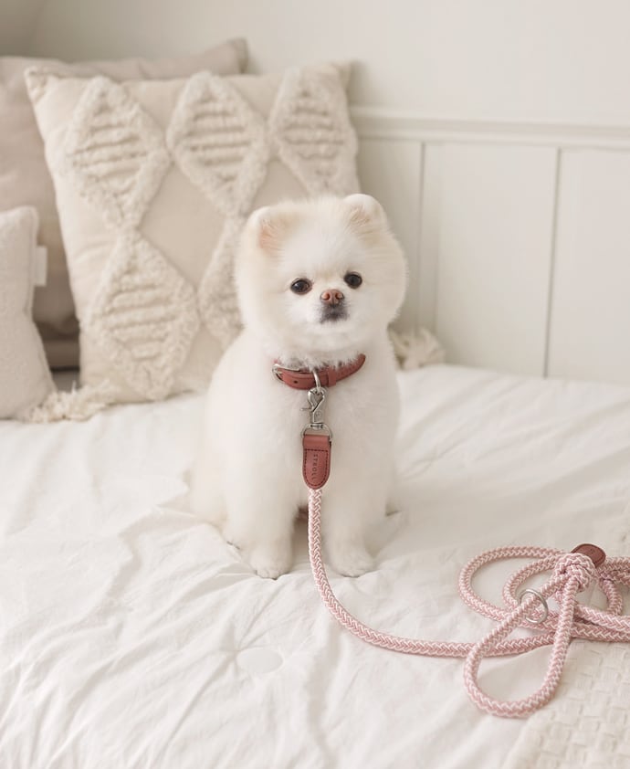 即納【stroll】Rope Leash Classic (Vintage Rose)