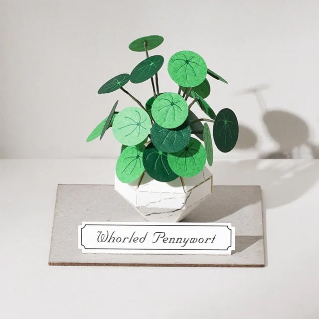 ペーパークラフト 植物 ウチワゼニクサ | 猫式×台灣 台湾雑貨 猫雑貨の