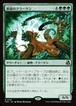 MTG《新緑のクラーケン/Verdant Kraken(FRA)》日本語