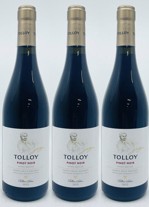 3本】トロイ ピノ・ノワール イタリア Tolloy Pinot Noir 赤ワイン 3本
